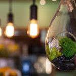 Sustainable Appliances: The Future of Eco-Friendly Technology