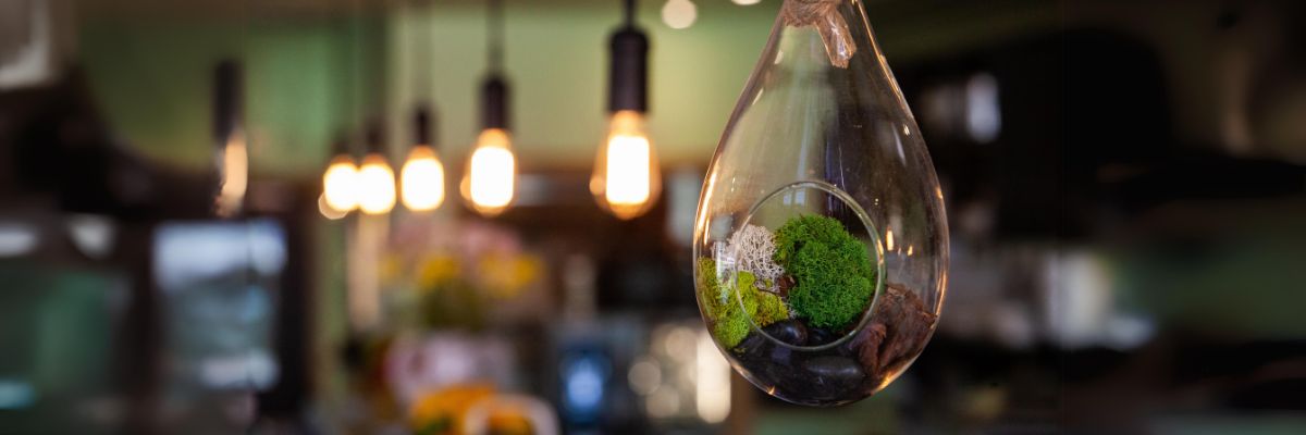 Sustainable Appliances: The Future of Eco-Friendly Technology