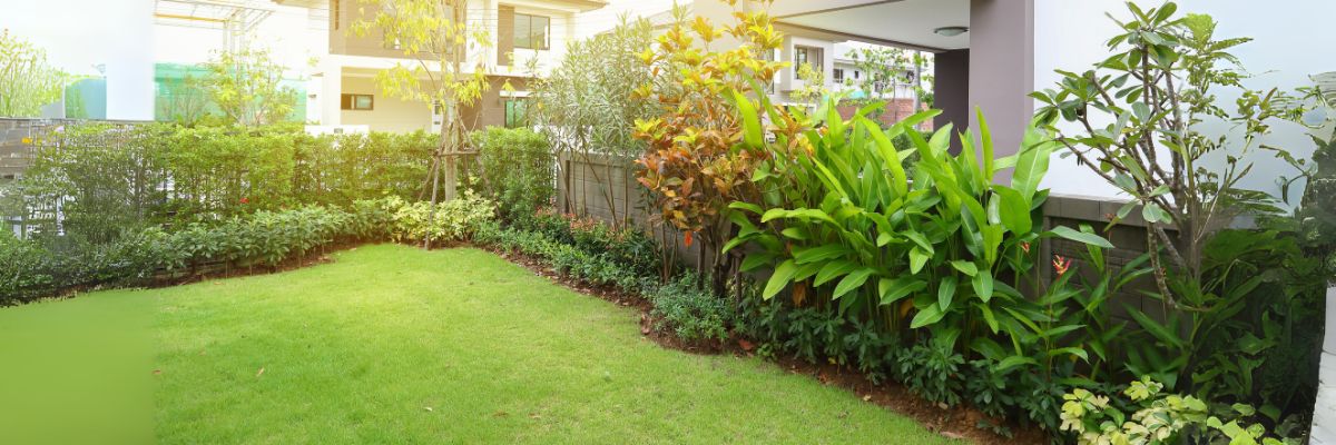 Benefits of Having a Garden at Home